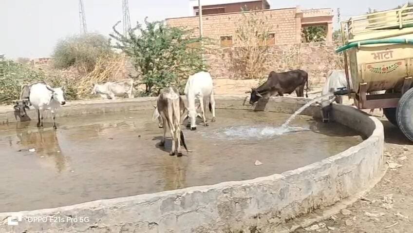 🚨 फतेहगढ़ के भाड़ली गांव में जल संकट गहराया, प्यास से तड़प रहे हजारों बेजुबान पशु 🐄💧
#फतेहगढ़
#भाड़ली_गांव
#जल_संकट
#पश...