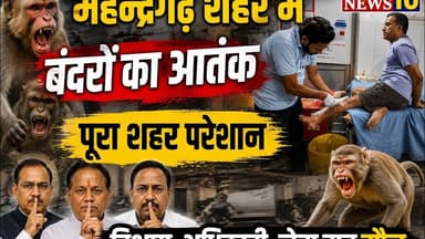 महेन्द्रगढ़ शहर में बंदरों का आतंक #Monkey_attack #mahendergarhnews घर के अंदर घुस कर दिया...
