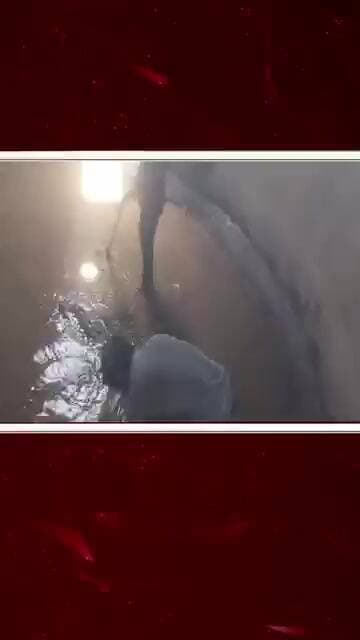 ખોડામલી ગામે ટાંકામાં મૃ%#ત વાનર મળ્યો | satalsana || viral reel || trending reel ||