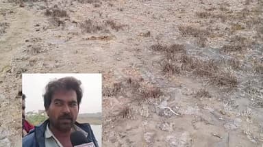 ઓખામંડળ: મીઠાપુર ખાતે આવેલ ટાટા કેમિકલ્સ કંપનીની કનડગત સામે ખેડૂતો બન્યા લાચાર...