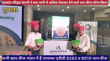 गुमला में धान क्रांति कम पानी में अधिक उपज, एडवांटा सीड्स कंपनी ने नया धान बीज लॉन्च किया।