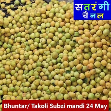 "भुंतर और टकोली सब्जी मंडी अपडेट्स"
24 मई 2026 को भुंतर सब्जी मंडी में सब्ज़ियां और फल क्या भाव बिके | देखें वीडियो
#bhu...