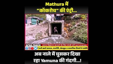 #shorts #shortvideo #short #shortsfeed #shortsyoutube #shortsindia #viralvideo #viral #viralshorts