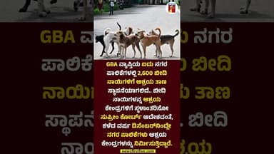 ಬೀದಿನಾಯಿಗಳಿಗೆ ಇನ್ಮುಂದೆ ಆಶ್ರಯ ತಾಣದ ಆಸರೆ #StrayDog #SupremeCourtOrder #GBA #Newsfirstlive