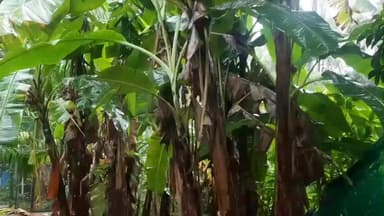 കണ്ണൂർ: കണ്ണൂരിൽ ശക്തമായ മഴക്ക് സാധ്യത, കേന്ദ്ര കാലാവസ്ഥ വകുപ്പ് മഞ്ഞ അലർട്ട് പ്രഖ്യാപിച്ചു