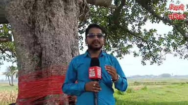 पति की लंबी आयु के लिए जिस वट वृक्ष की पूजा की, उसी पति को सात दिन बाद छोड़कर पत्नी हुई फरार
#वटसावित्री #पत्नीफरार #अजब...