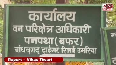 Umariay News :उमरिया में बाघ का आतंक, घर में घुसकर महिला को मार डाला !