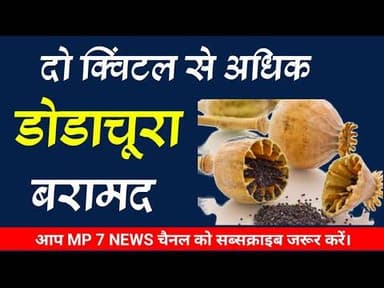 दो क्विंटल से अधिक डोडाचूरा बरामद #nakabndi #dhaba_sanchalk #kapasan_thana_police #ndps #rajsthan
