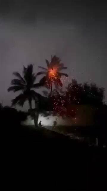ಸಿಡಿಲಬ್ಬರಕ್ಕೆ ಸುಟ್ಟು ಕರಕಲಾದ ತೆಂಗಿನ ಮರ