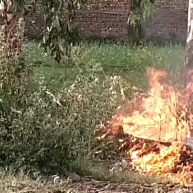 बड़े शर्म की बात है कि बापौली से पानीपत रोड पर छाजपुर के पास वन विभाग द्वारा लगाए गए पेड़ पौधों में आग लगाकर उन्हें जलाय...