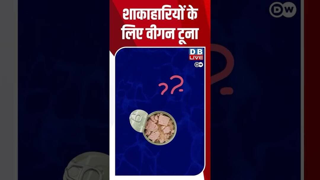 शाकाहारियों के लिए वीगन टूना #dwscience #dwhealth #VeganTuna