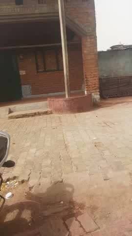 pachipura kala jila jalon