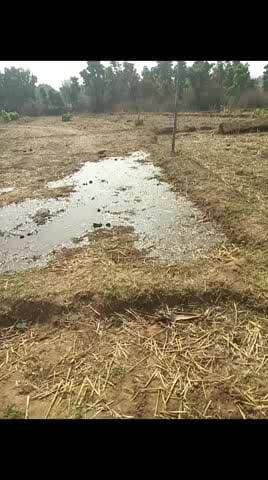 नल जल हर गंगे का हाल है
घरों में नहीं
खेतो मे पानी बहा रहा है