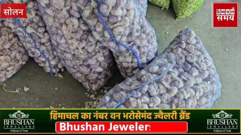 लहसुन के रेट में भारी गिरावट, किसान मायूस
हिमाचल समय - Himachal Samay Media #bdcelection #BreakingNews #kalkashimlahighw...
