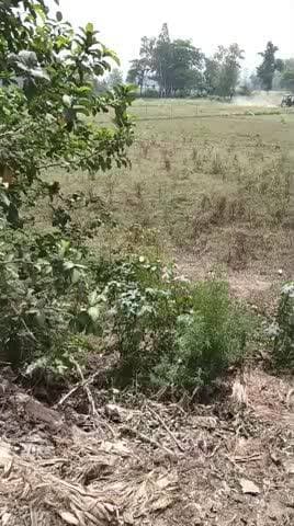अनुसूचित जाति के लोगों को पट्टे से प्राप्त जमीन पर भू-माफियाओं द्वारा दबंगई के बल पर जमीन हथियाने का मामला