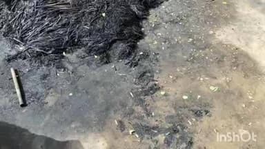 मनिया: बिजली तार टूटने से छप्परपोश में लगी आग, चार भैंस और एक बकरे की हुई मौत
