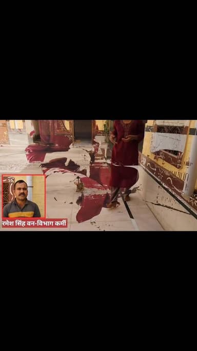 #Jaisalmer #लाठी खरगोश के बच्चे को बनाया 'भाई',वन-विभाग को सौंपते समय परिवार कि भर आई आंखें।
Wild life Animals