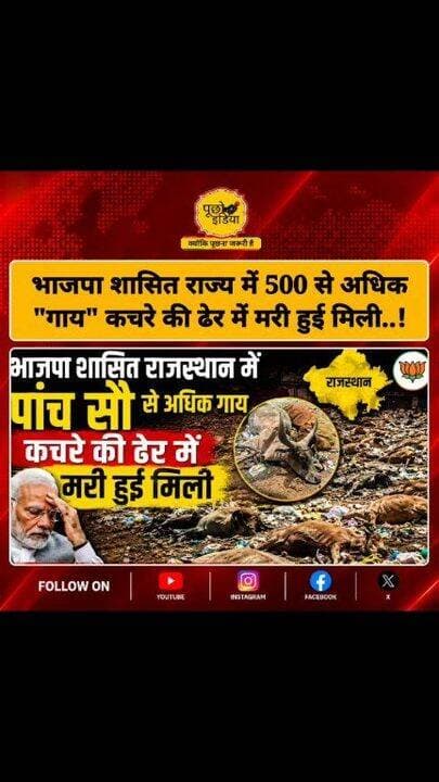 भाजपा शासित राजस्थान में 500 से अधिक 'गाय' कचरे की ढेर में मरी हुई मिली, किसने मारा ? कौन जिम्मेवार है ?
#BREAKING #raj...