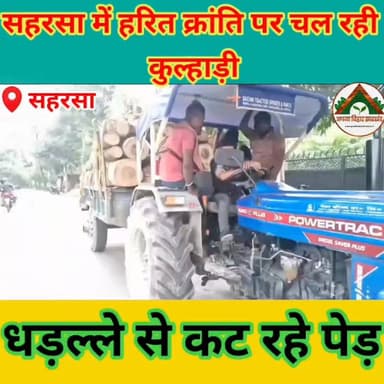 सहरसा में हरित क्रांति पर चल रही कुल्हाड़ी, धड़ल्ले से कट रहे पेड़ #ABJ #saharsabihar #saharsa_bihar #Crime
