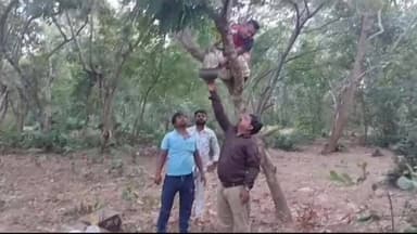 କେନ୍ଦ୍ରାପଡା: ପ୍ରବଳ ଗ୍ରୀଷ୍ମ ରୁ ପକ୍ଷୀ ମାନଙ୍କ ର ଜୀବନ ବଞ୍ଚାଇବା ପାଇଁ ଶ୍ରୀ ଜଗନ୍ନାଥ ଚାରିଟେବୁଲ ଟ୍ରଷ୍ଟ ର ସୋତନ୍ତ୍ର ପ୍ରୟାସ l