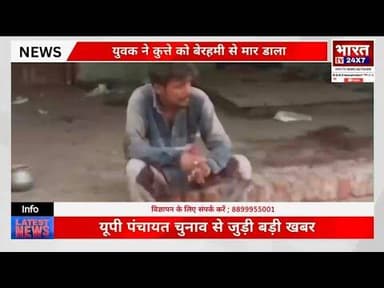 Nigohha Horror Case | युवक ने Dog को बेरहमी से मारा, गांव में दहशत #BreakingNews