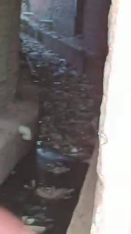 Chhibramau k Asalat nagar k nale me kude k jamab k karan Panap rhi bimariya....
