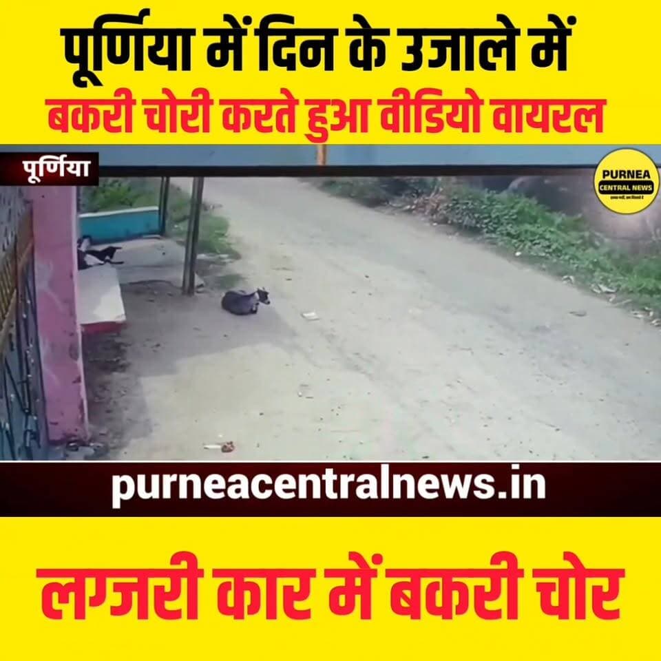 सावधान: बाइसी में लग्जरी गाड़ी से पहुंचे चोर, CCTV में कैद हुई बकरी चोरी....
#Purnea
#Baisi
#PurneaNews
#BiharNews
#Goa...