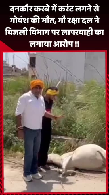 गौतम बुद्ध नगर: दनकौर कस्बे में करंट लगने से गोवंश की मौत, गौ रक्षा दल ने बिजली विभाग पर लापरवाही का लगाया आरोप
