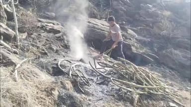 पुष्कर: बुड्ढा पुष्कर मार्ग पर स्थित वन विभाग की पहाड़ी में मंगलवार को लगी आग, टीम ने पाया काबू