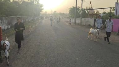 महिदपुर: महिदपुर हलचल: ईद की खुशियाँ और बच्चों का उत्साह