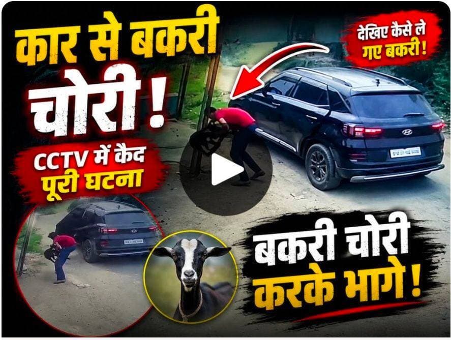 बायसी में अजीबो-गरीब चोरी लाखों के कार से आया बकरी चोर CCTV में कैद हुई घटना
#बीसी24ंन्यूज #बीसी24न्यूज #bc24news #fyp...