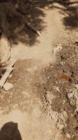 Sardarpur tanki ki pass talab mi avaidh kabja hone ke Karan raste mein nikalne mein dikkat ho rahi hai