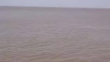 ખંભાત: ખંભાતના દરિયામાં ડોલફીન માછલીઓ દેખાતા
સ્થાનિકો અને પ્રવાસીઓમાં ભારે કુતૂહલ