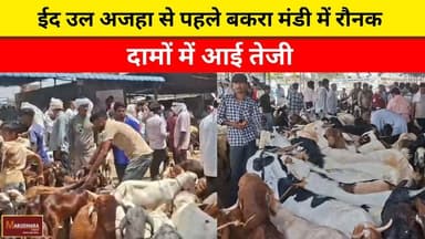 ईद उल अजहा से पहले बकरा मंडी में रौनक, दामों में आई तेजी
#ajmer #trend #may #may2026 #ajmercity #ajmernews #today #today...