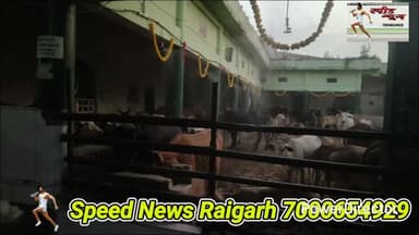 गौ माता के लिए फॉगिंग मशीन लगने से गौवंश को मिल रही गर्मी से राहत जय गौ माता #cg #news #viral #cow #short