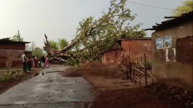 ଟିଟିଲାଗଡ: ରେଙ୍ଗାଲି ରେ ଭାରି ପବନ ଓ ବର୍ଷାରେ ବଡ଼ ଗଛ ଭାଙ୍ଗି ପଡିଲା ଶୀଘ୍ର ସଫା ପାଇଁ ଦାବି