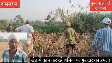 #रामनगर के #मालधन क्षेत्र में #खेत में काम कर रहे #श्रमिक पर गुलदार ने हमला बोल दिया, जिसके बाद #श्रमिक की #बमुश्किल जान...