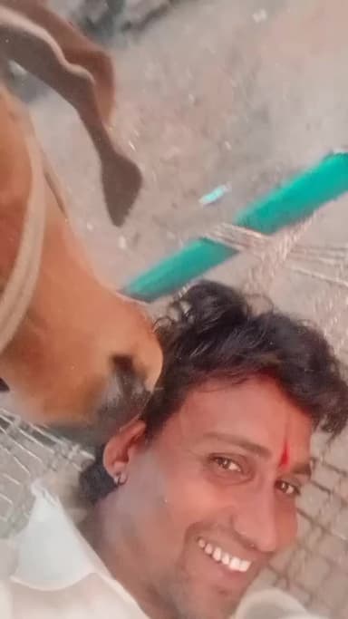 गौ माता का यह वीडियो दृश्य देखिए, खिरकिया