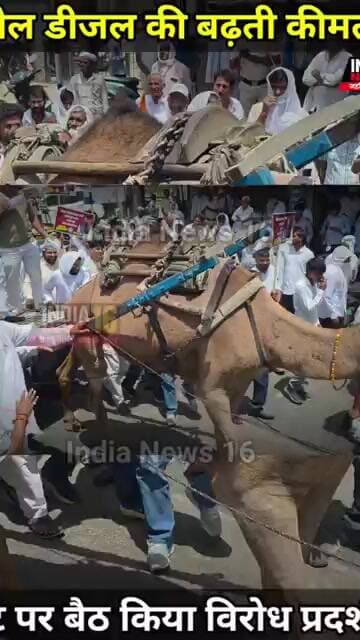 #Petrol #Diesel की बढ़ती कीमतों को लेकर ऊंट पर बैठे #Congress नेता #RaoDanSingh #shorts #bjp #viral