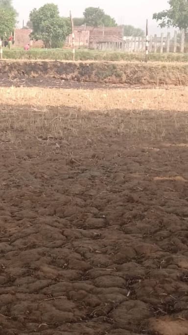 singrauli ka viewp #jaldi #se #fllow #karo