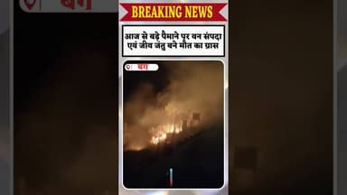 #बेगूं पारसोली के चैनपुरिया जंगल में धधकी आग...