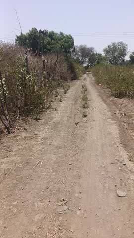 ganv sunari se boliya bujurg Tak rod ko damar Kiya jave nahi to ham kisi ko vot nahi denge