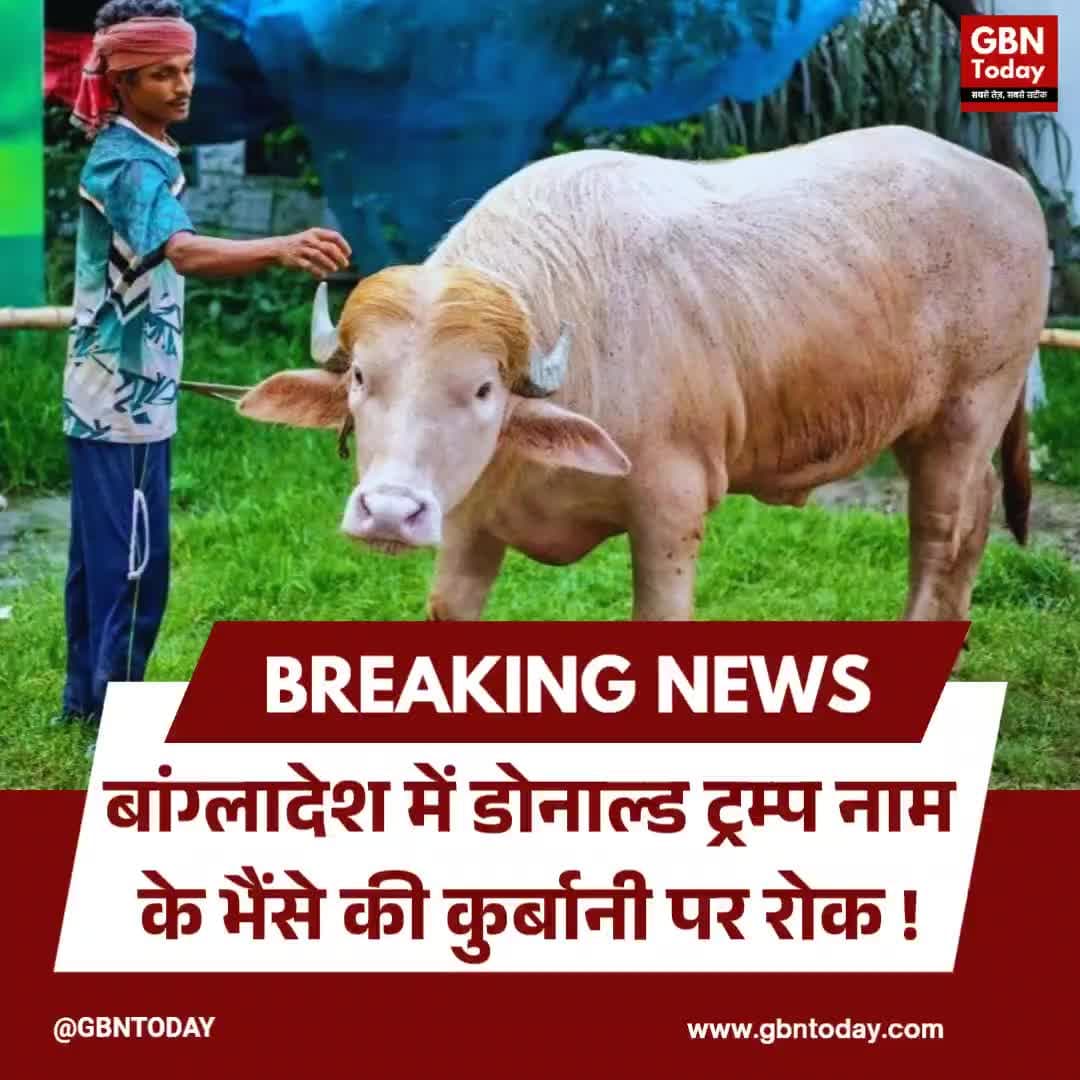 बांग्लादेश: 'डोनाल्ड ट्रम्प' नाम के भैंसे की कुर्बानी पर रोक।
#BangladeshNews #DonaldTrumpBuffalo #EidUlAdha #Qurbani