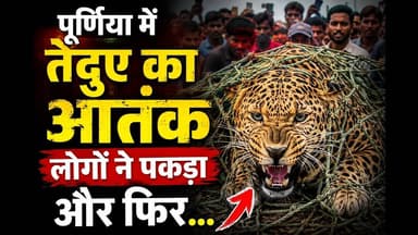 पूर्णिया में तेंदुए का आतंक,लोगों ने पकड़ा और फिर... #PurniaNews #bihar #trendingnow #trendingvideo