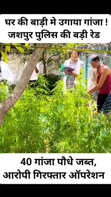 ऑपरेशन आघात में जशपुर पुलिस की बड़ी कार्रवाई
जशपुर लोदाम क्षेत्र के ग्राम खिखिर टोली में घर की बाड़ी में अवैध रूप से उ...