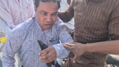 कैराना: कैराना के गांव गोगवान में ग्रामीणों ने विद्युत विभाग के जेई को घेरकर पीटा, वीडियो सोशल मीडिया पर हुआ वायरल