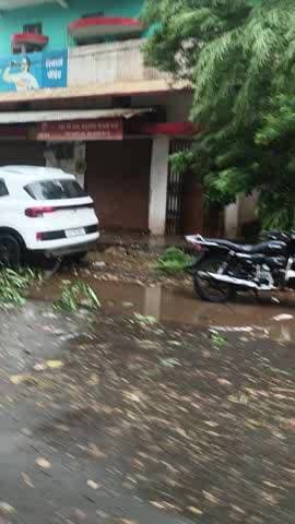aaj Jagdalpur mai bari barish ke karan ped ke Tani gir hai hai