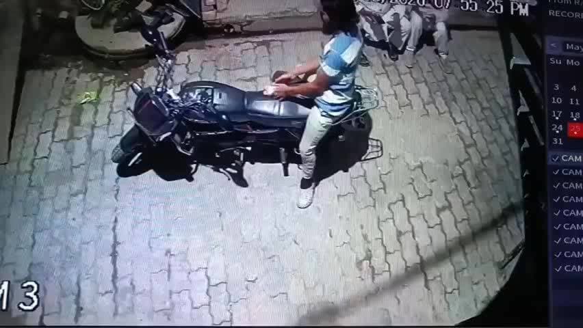 बिसवां: बिसवां में स्ट्रीट डॉग को पीट-पीटकर मारने का वीडियो वायरल, मामला इलाके में चर्चा का विषय बना