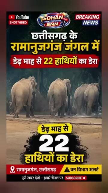 रामानुजगंज जंगल में 22 हाथियों का आतंक 😱