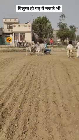 #जय गौ माता जय गोपाल जय श्री कृष्णा #@